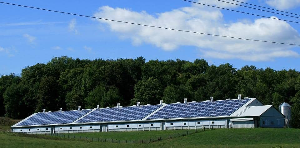 solar panel farm