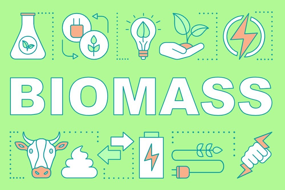 biomass