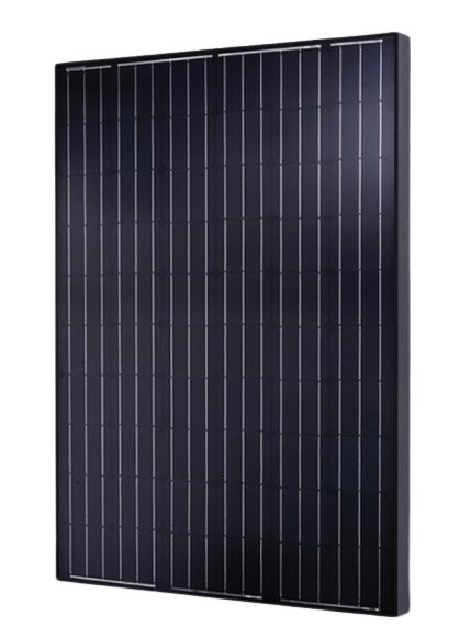 Renogy 250 Watts solar panel